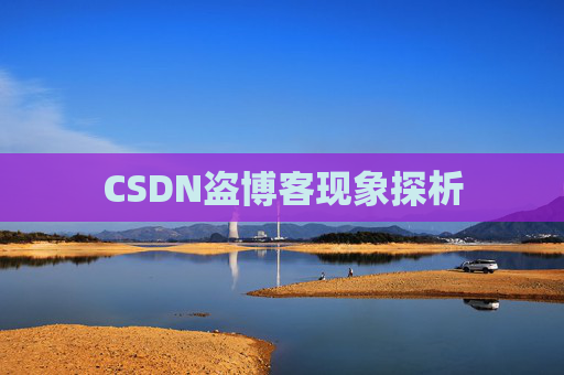 CSDN盗博客现象探析